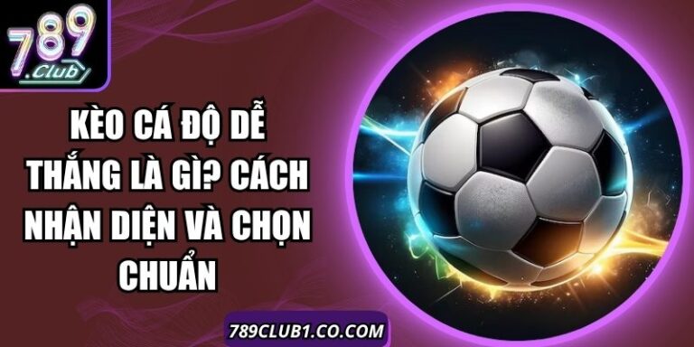 Kèo Cá Độ Dễ Thắng Là Gì? Cách Nhận Diện Và Chọn Chuẩn 3 Kèo Cá Độ Dễ Thắng Là Gì? Cách Nhận Diện Và Chọn Chuẩn